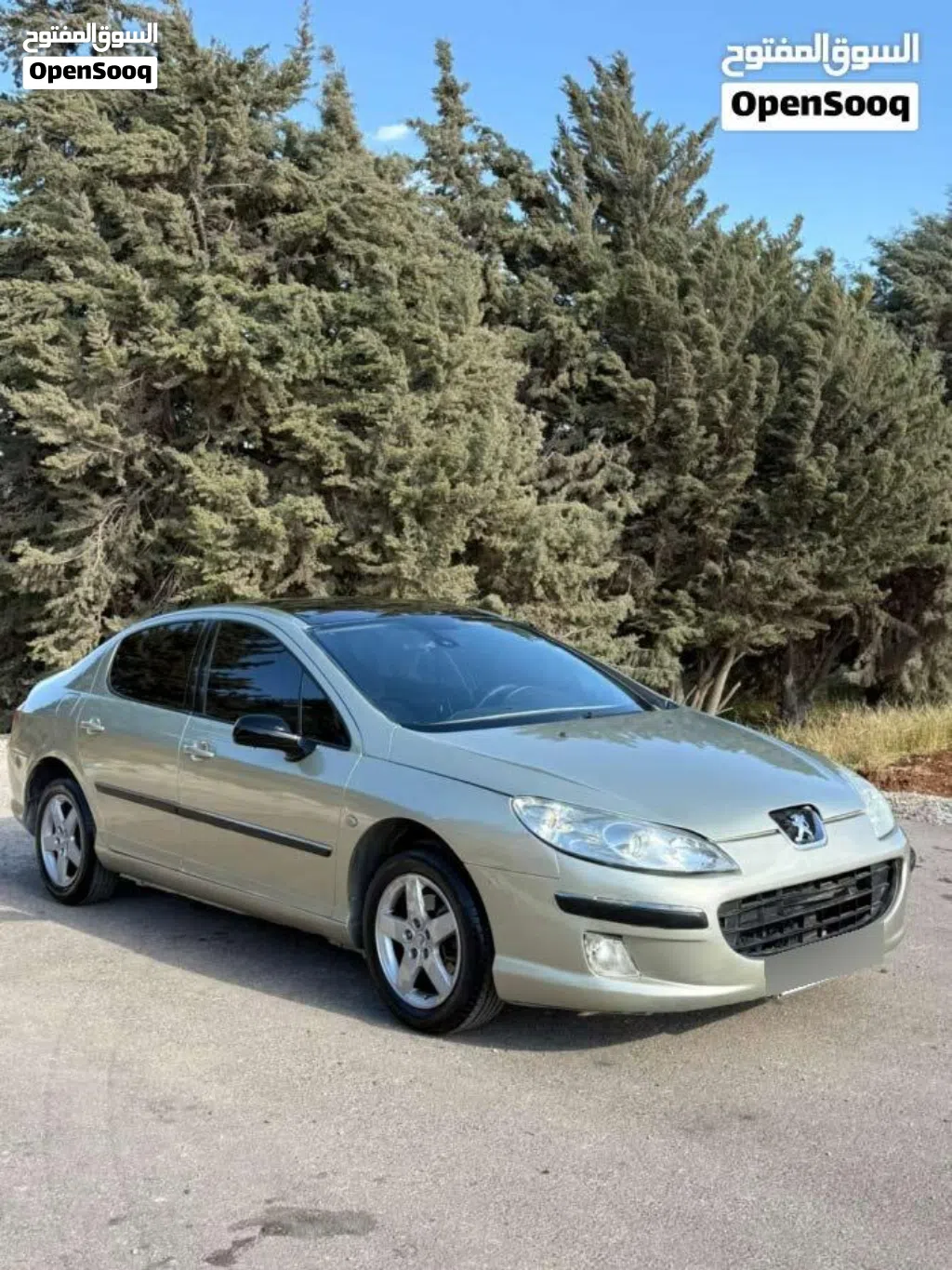 Peugeot 307 Standard