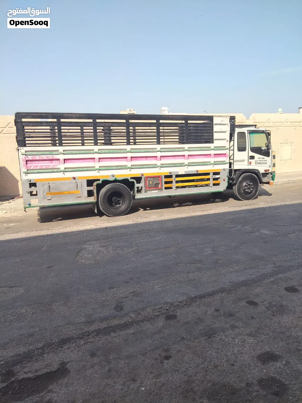 Lorry fsr 2011 model