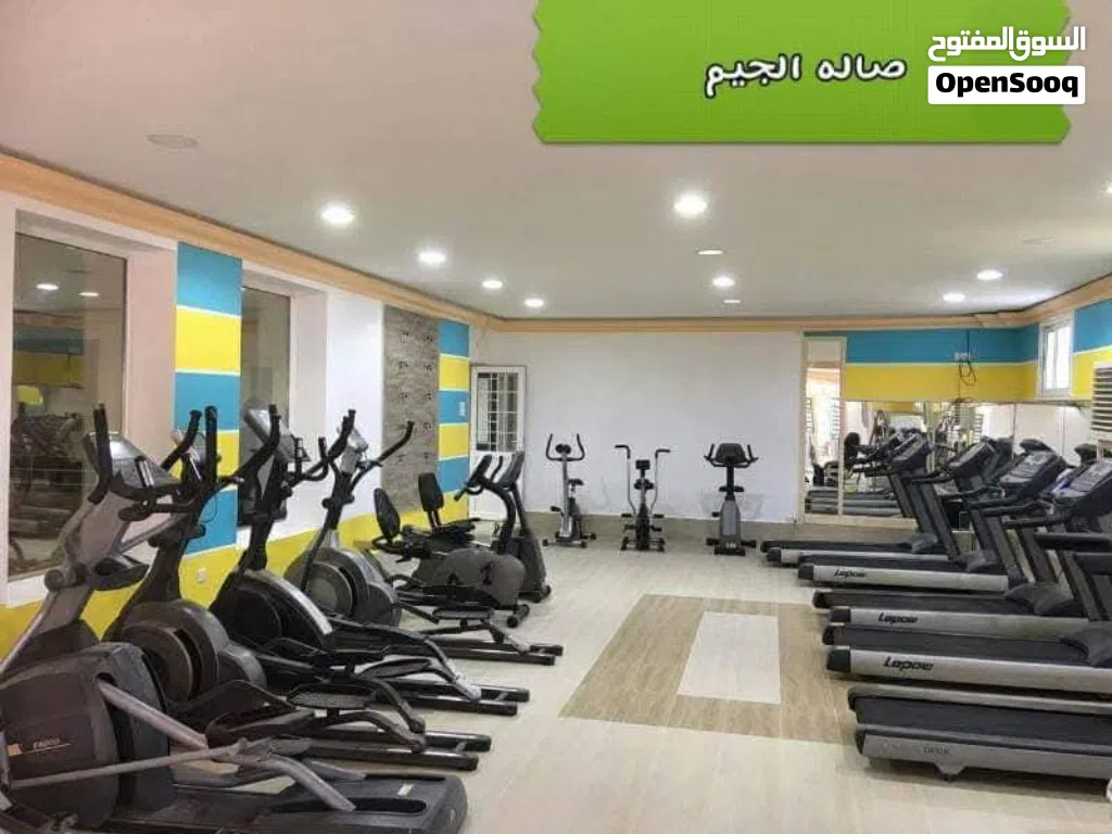 سيور وعجلات جودة عالية للجيم