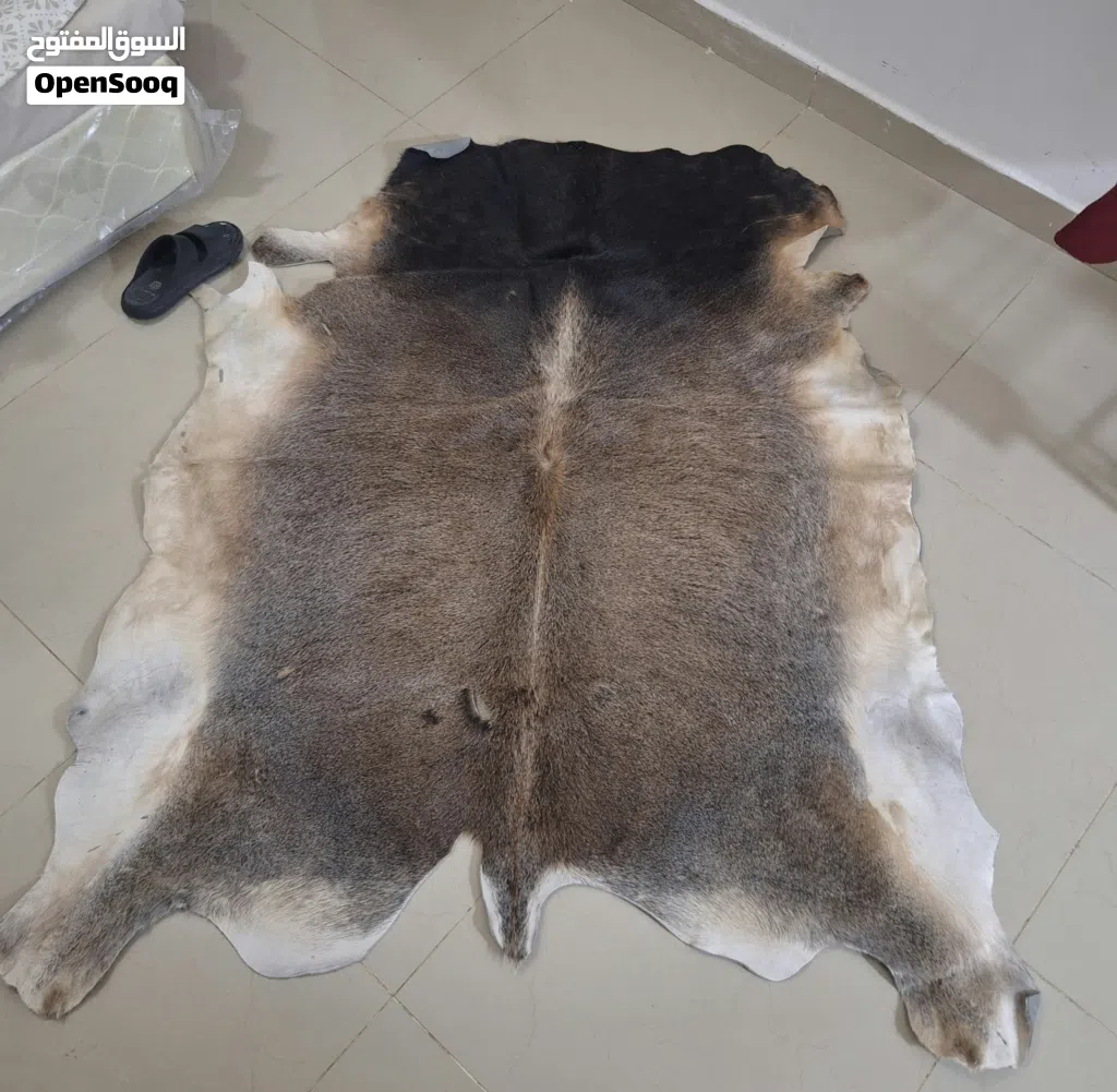 جلود ماعزو بقر