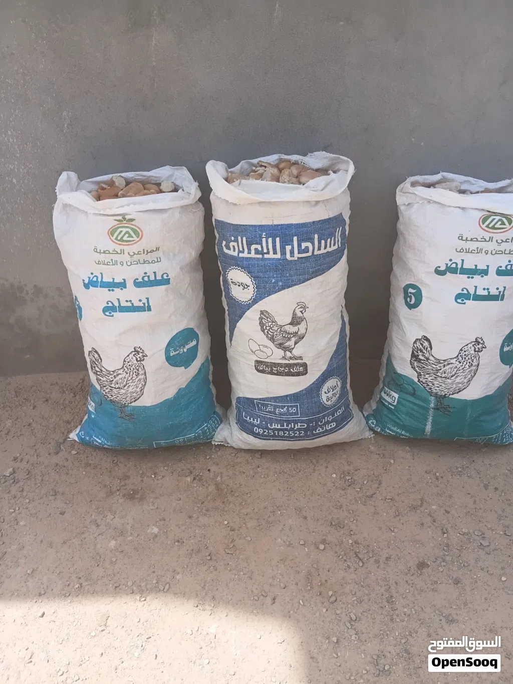 شولات نضيفه