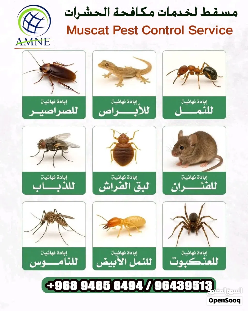 شركه المدخر لمكافحة الحشرات وتنضيف المباني