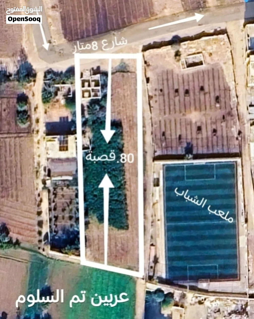 صورة الإعلان