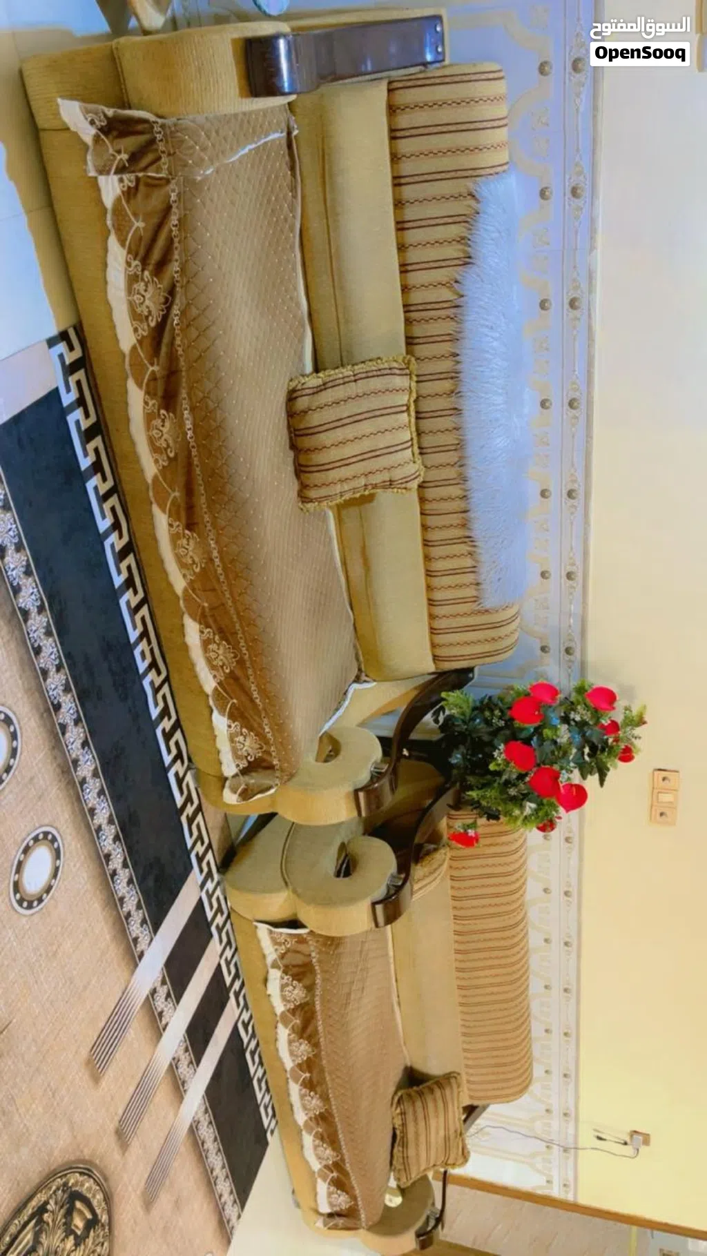 تخم نضيف وجديد