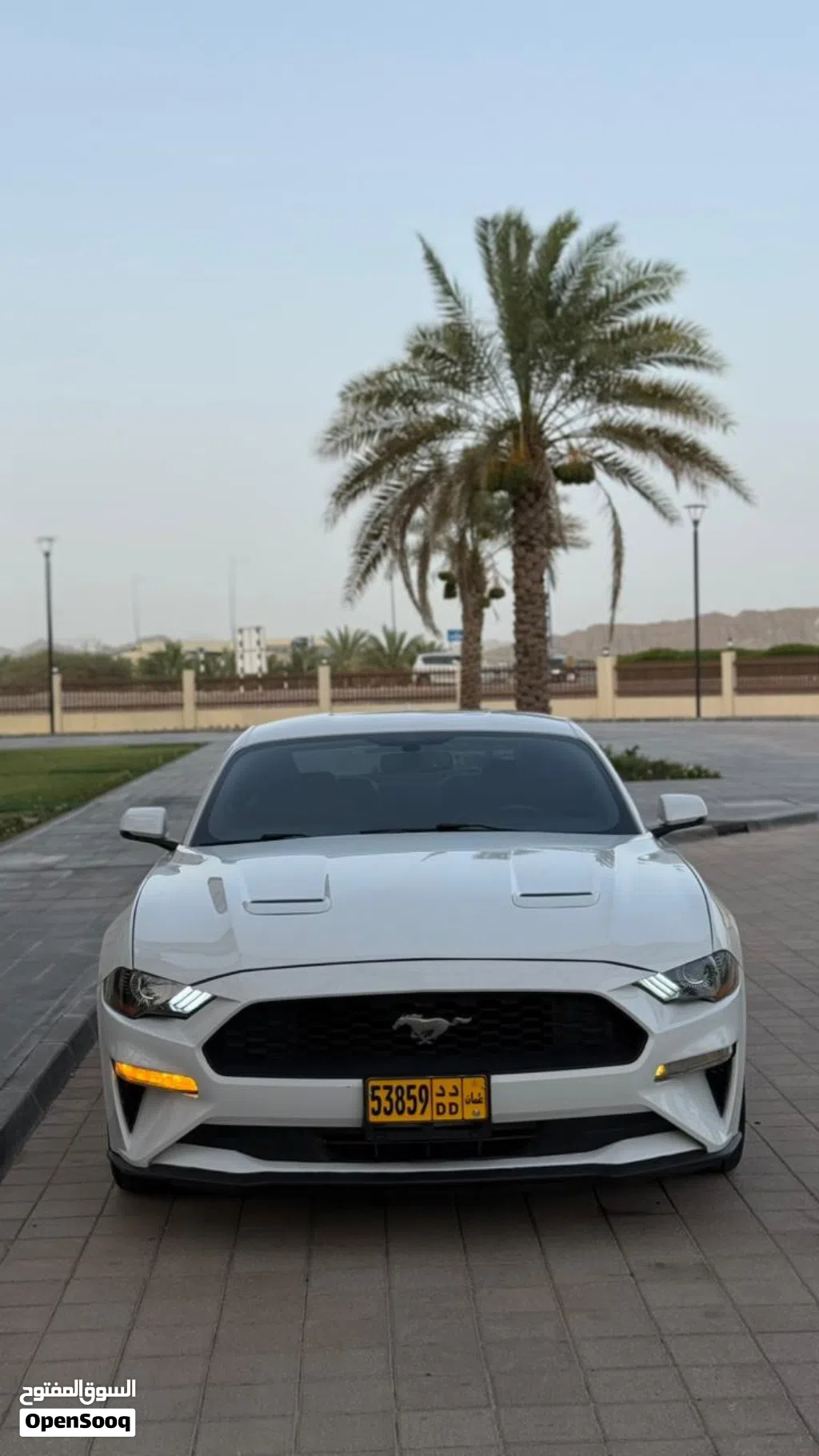 Ford Mustang EcoBoost