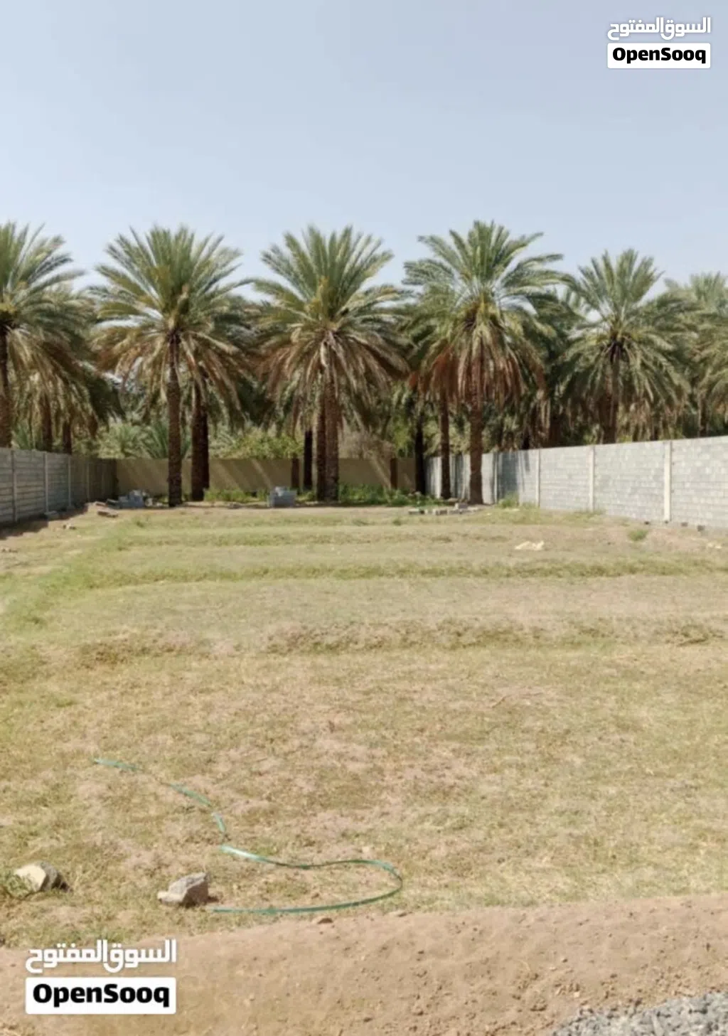 ارض للإيجار حيل/ فرق Land for rent