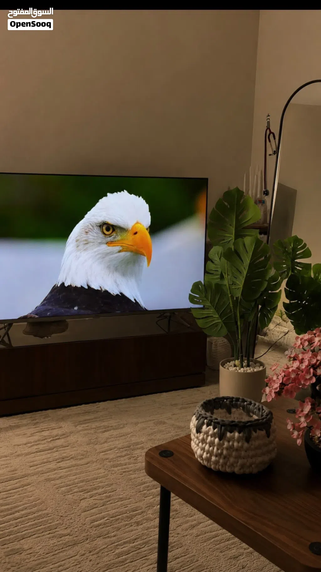 شاشة حيل زينه TCL ذكية 50 بوصة، دقة 4K UHD، موديل، بصوت Dolby وتصميم نحيف