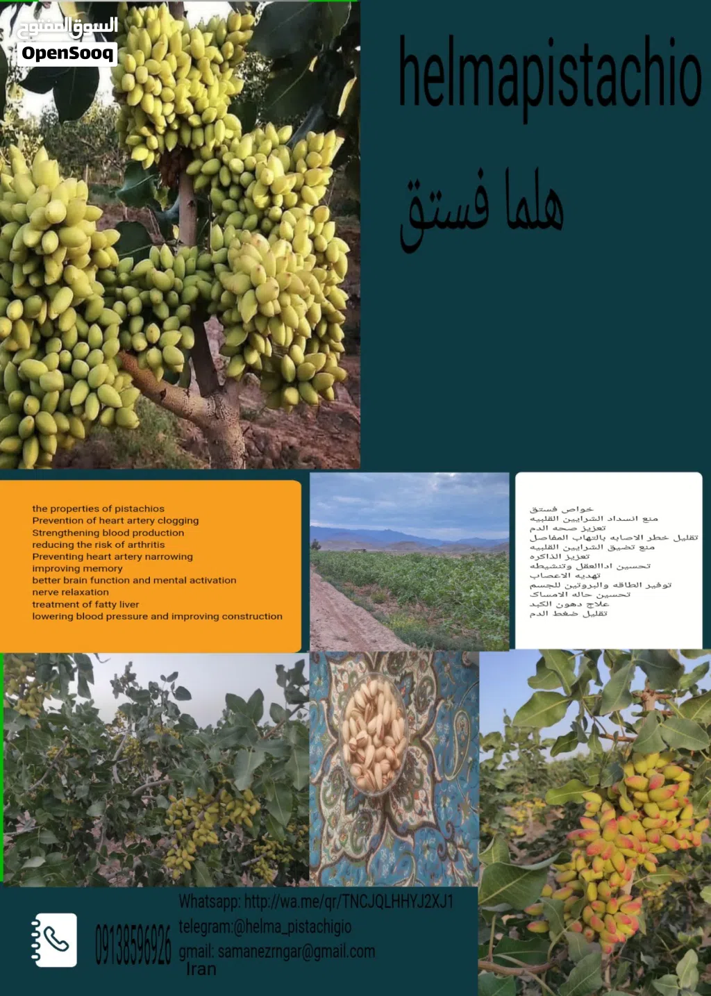 فستق اکبری