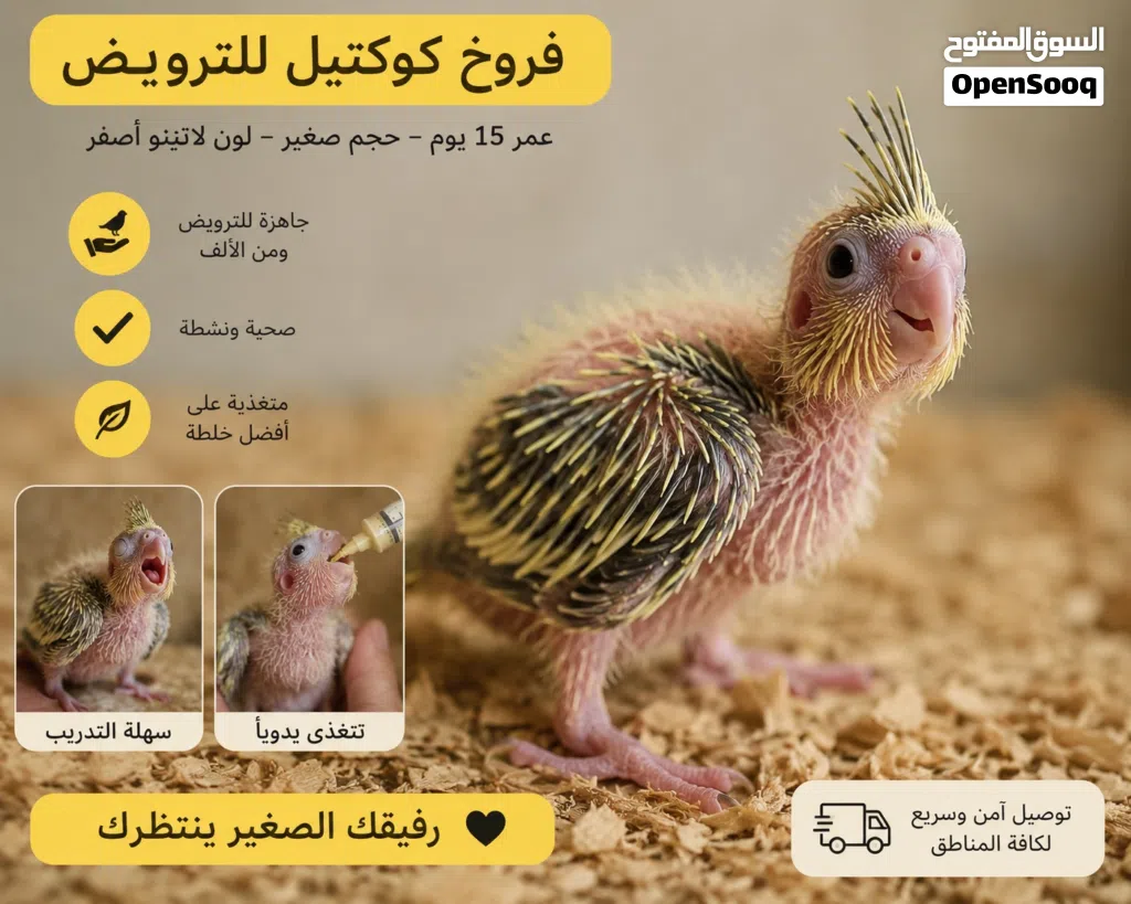 انتاج محلي كوكتيل للترويض