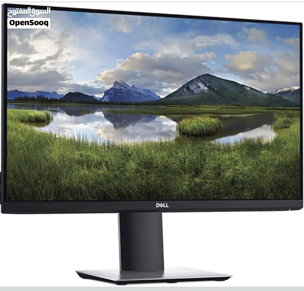 Dell P2419H
