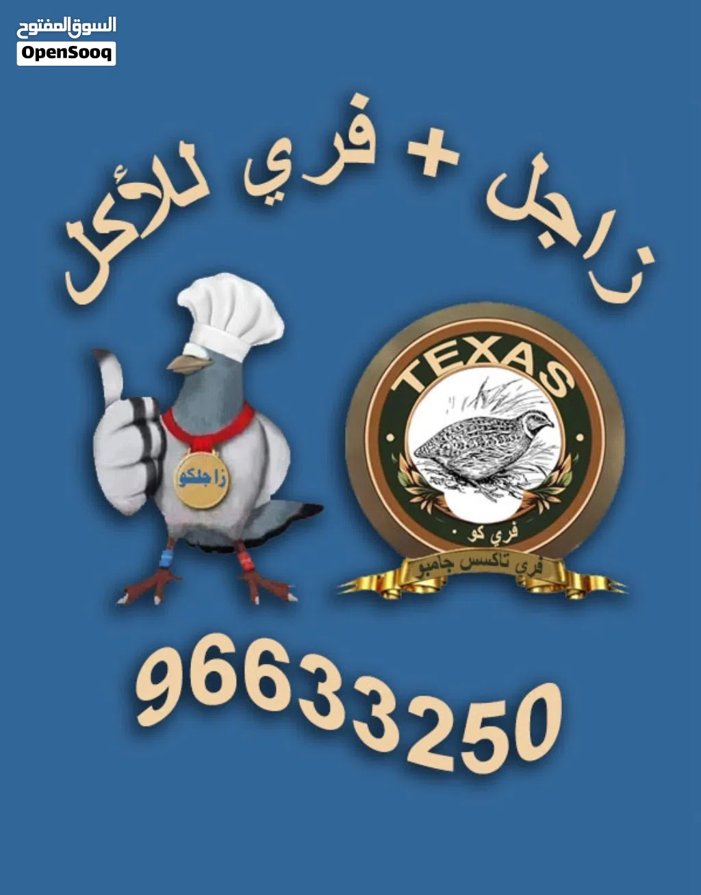 للبيع فري وزاجل زغاليل وبيض تاكسس