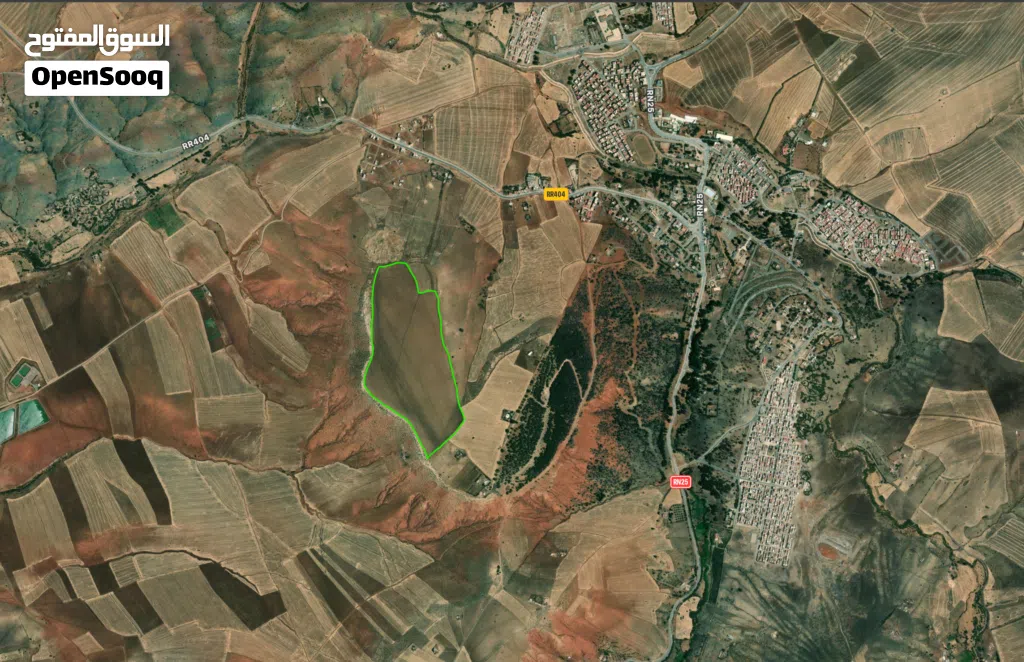 25 Hectares Titled Agricultural Land – Water & Electricity – Ideal Poultry Farm / High-Return Invest