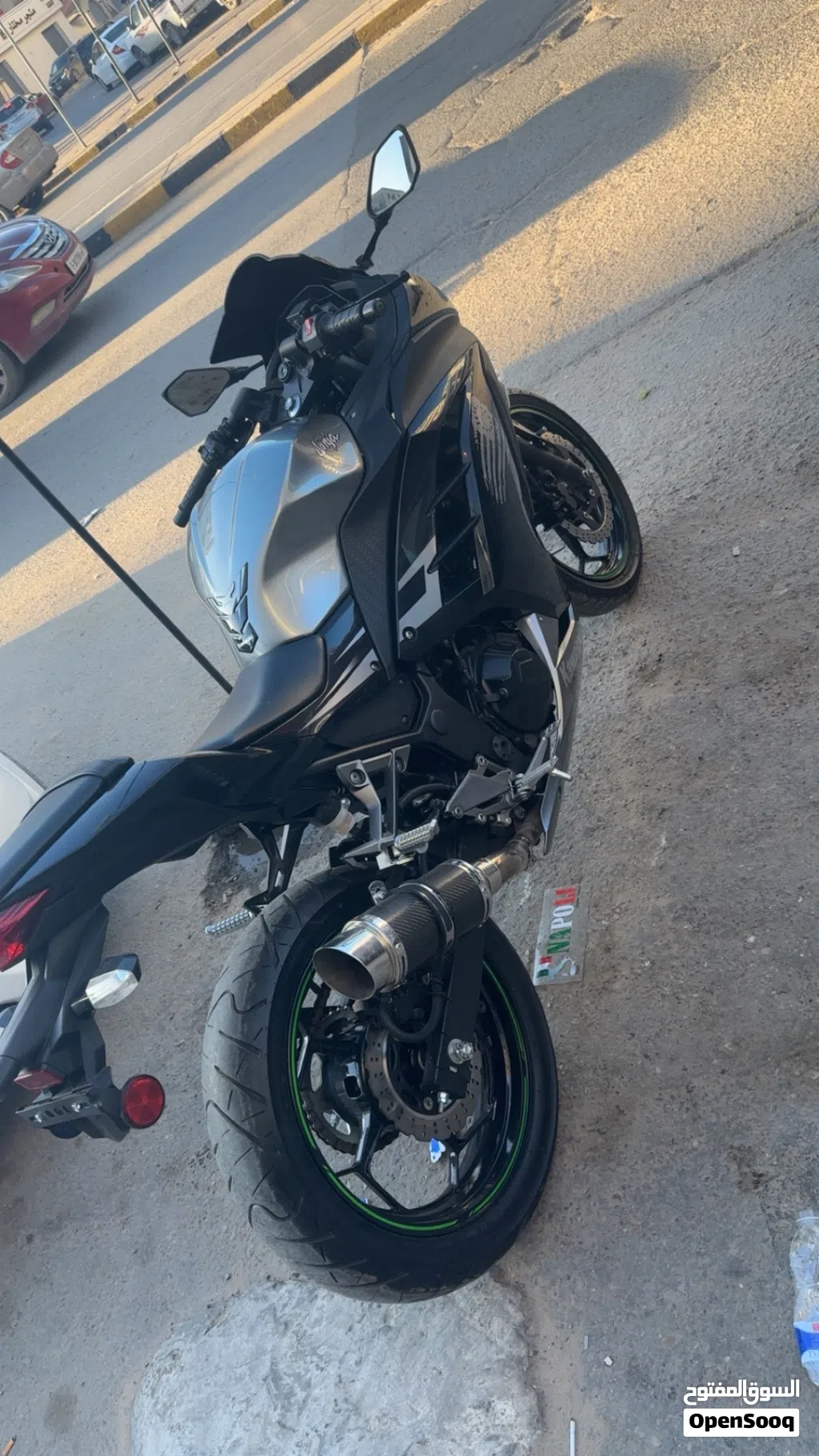 Kawasaki Brute Force 300