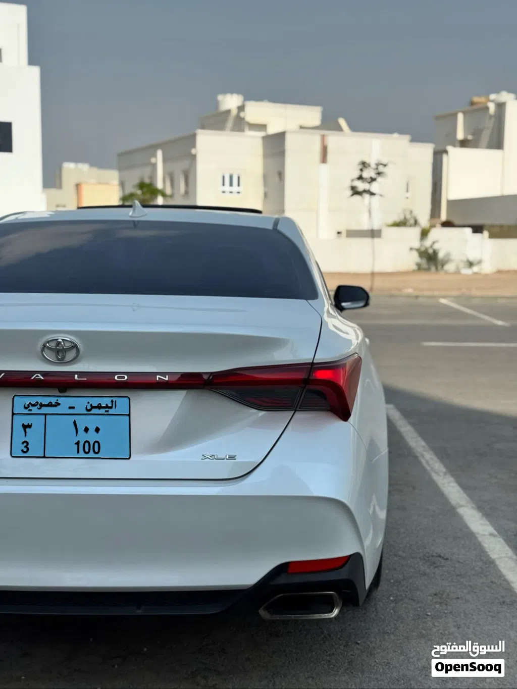 لوحه مميزة رقمها 3-100
