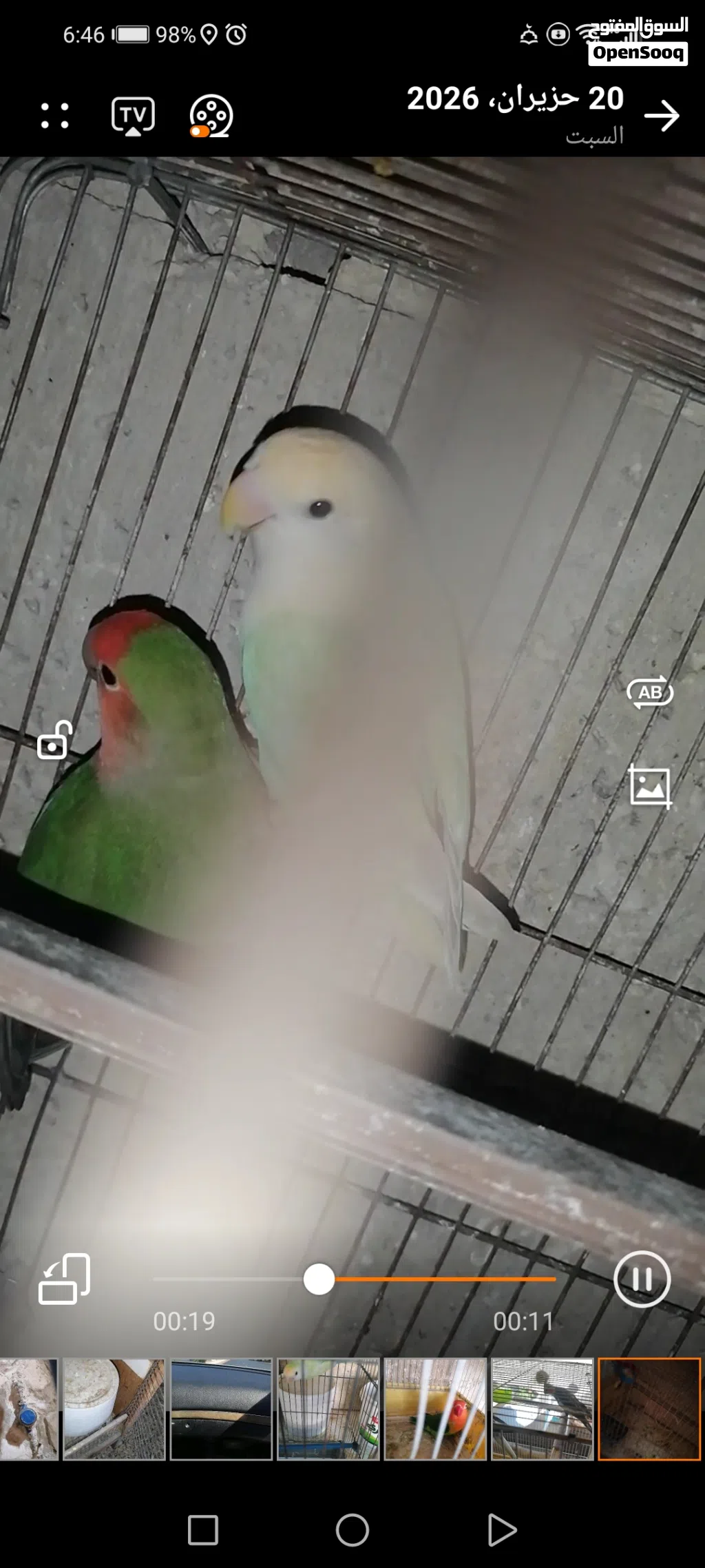 جوز روز سوبر جامبو
