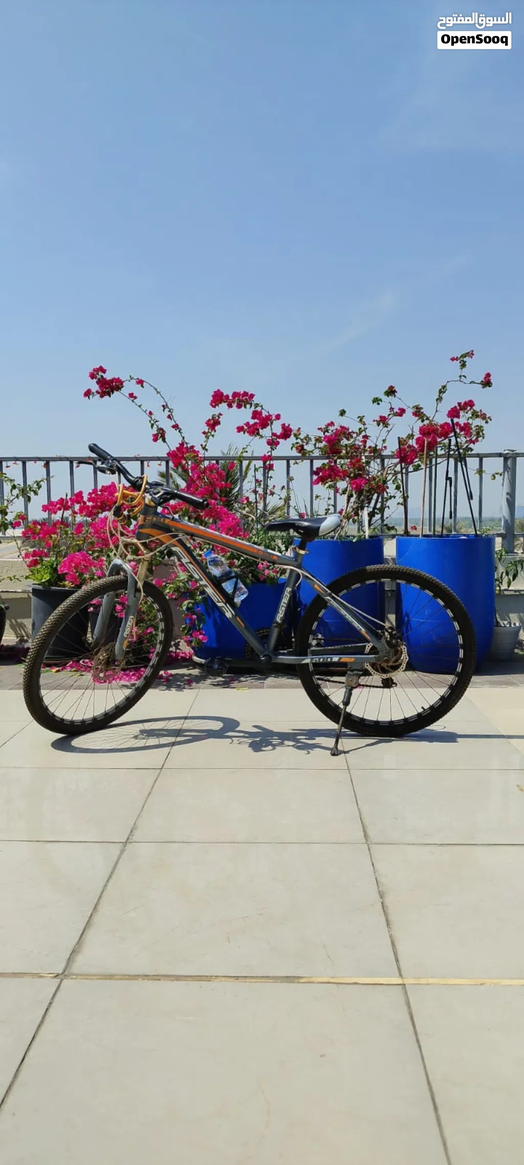 دراجة هوائية