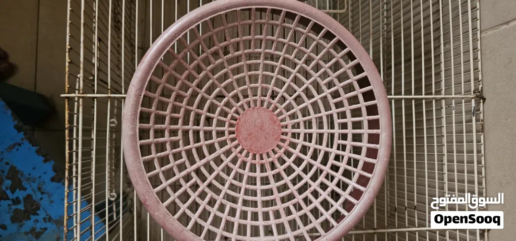 pigeon breeding bowl for sale