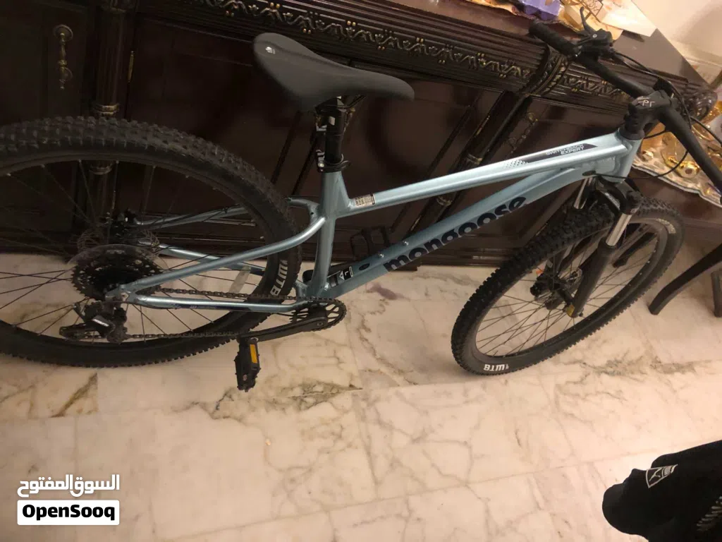 Mongoose bicycle