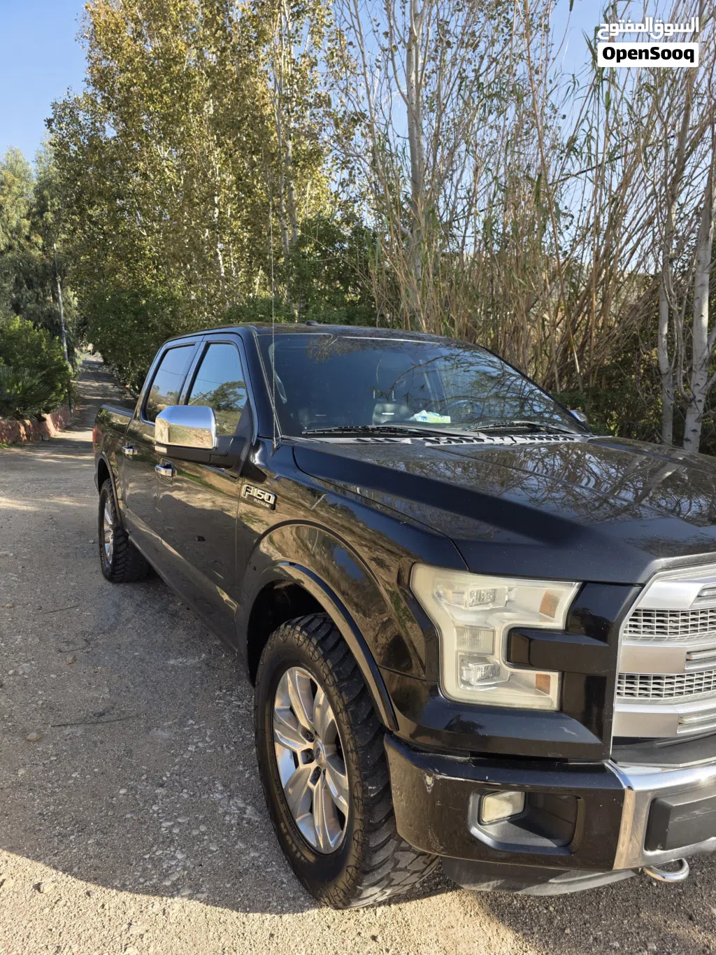 فورد ⁦F-150⁩ ⁦Platinum⁩