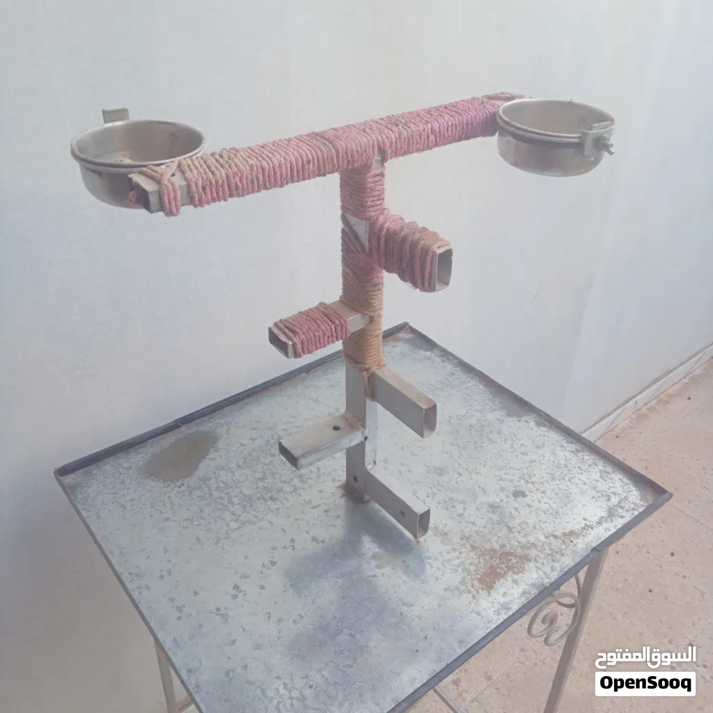حاملة طائر الببغاء