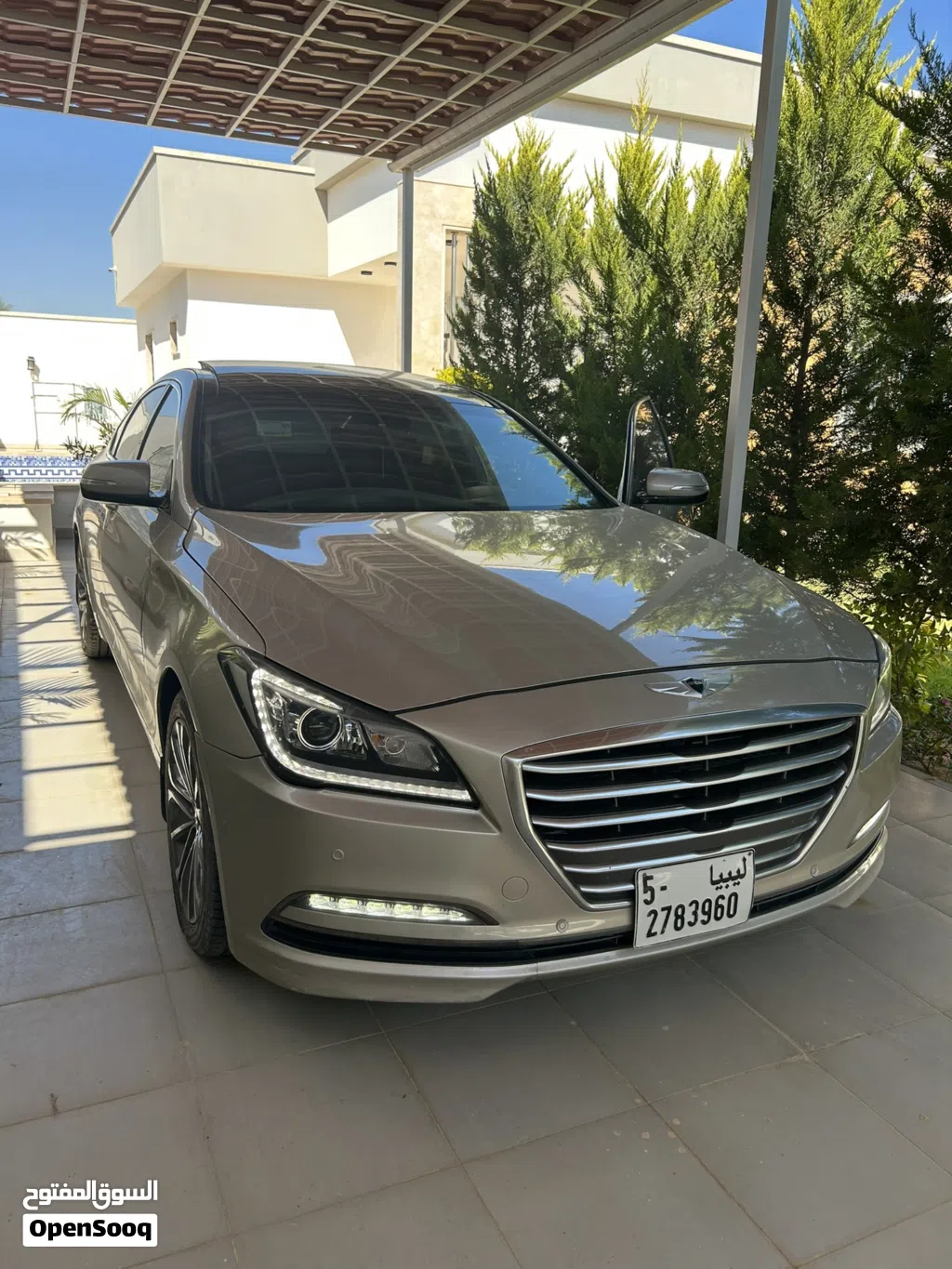 Genesis Other