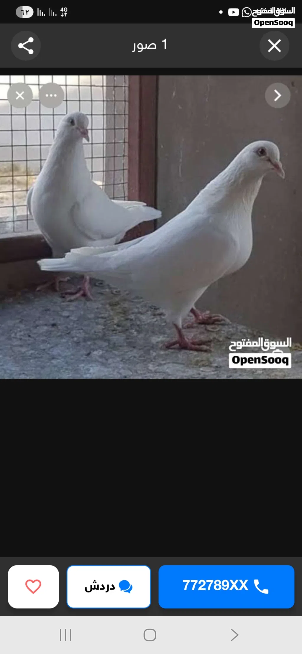 مطلوب حمام لاحم بسعر مناسب
