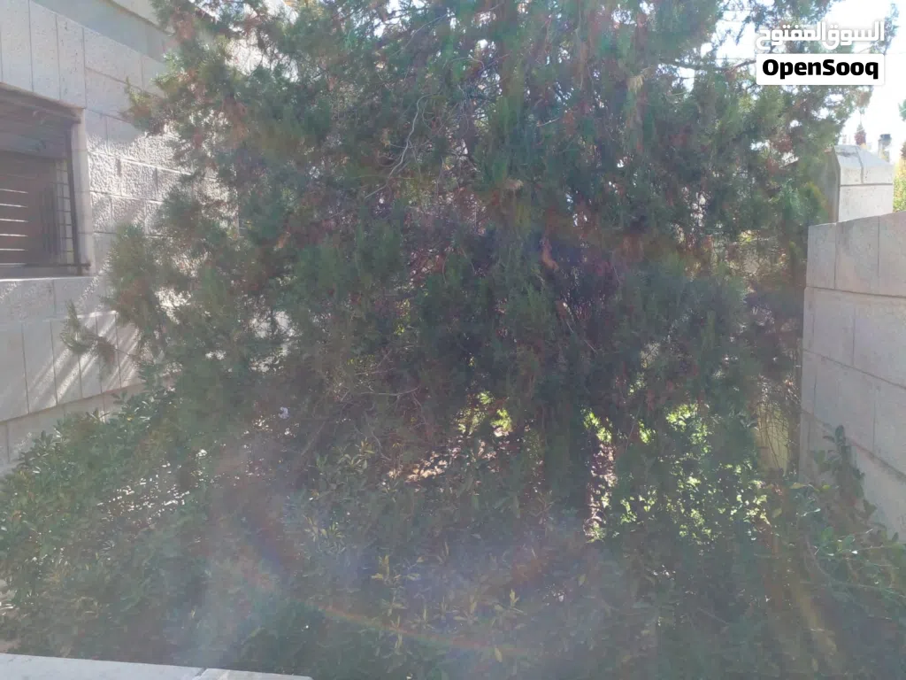 فيلا سكنية للبيع في الشميساني موقع مميز