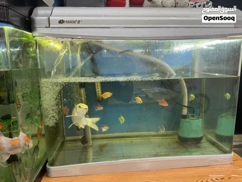 Aquarium for sale