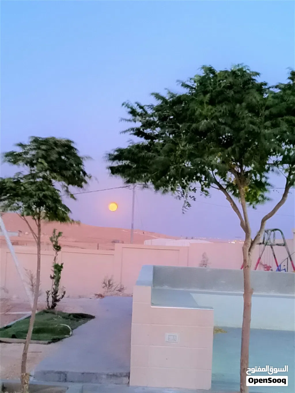 مزرعة للبيع في اجمل مناطق بلعما الزيتونة