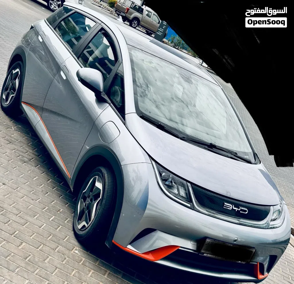 BYD Dolphin
