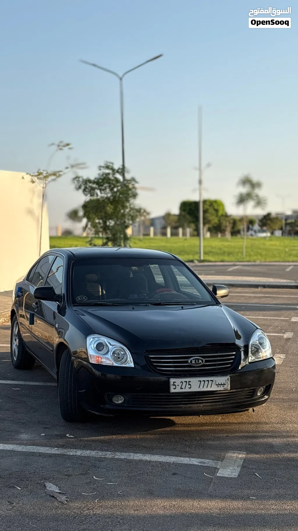 Hyundai Other