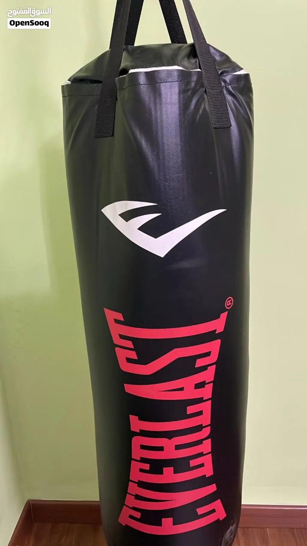 Boxing Bag + Gloves