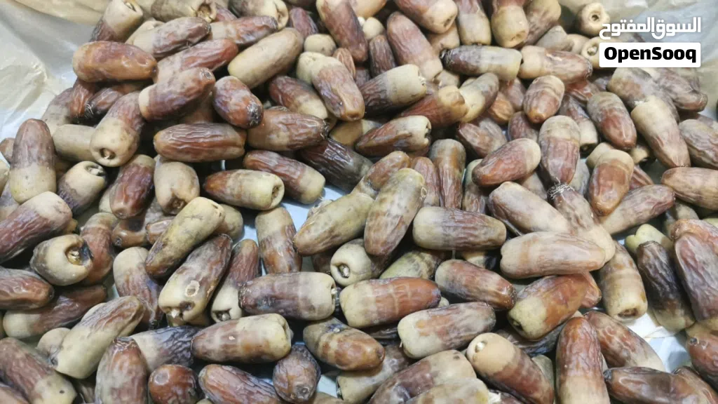 تمر نغال جريجو حبة كبيرة