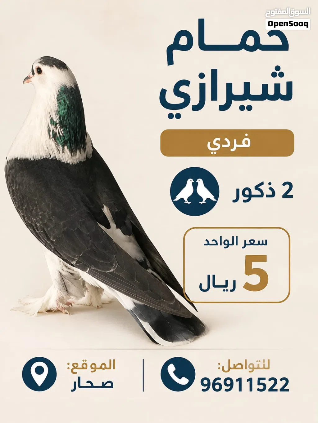 حمام شيرازي العدد 2