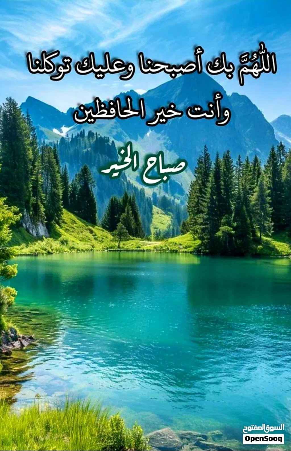 متعهد مباني