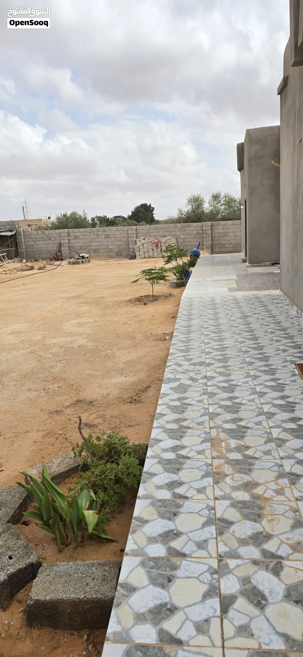 أرض بير العالم باتجاه السايح