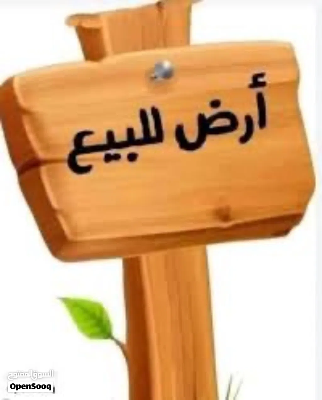 ارض للبيع في سريع وادي الربيع