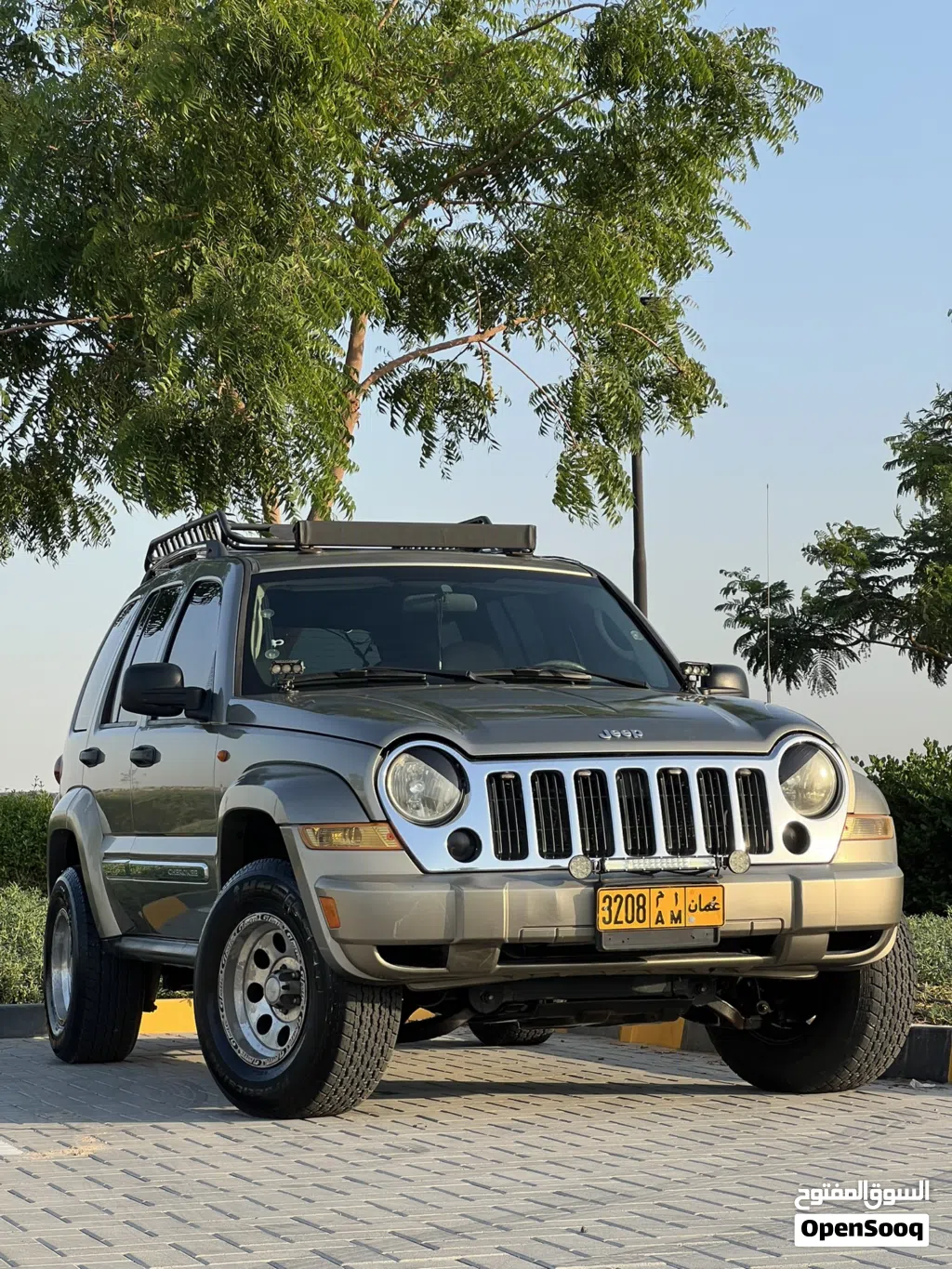 Jeep Liberty Renegade