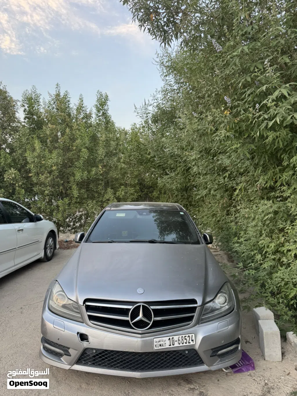 Mercedes Benz C-Class C 300