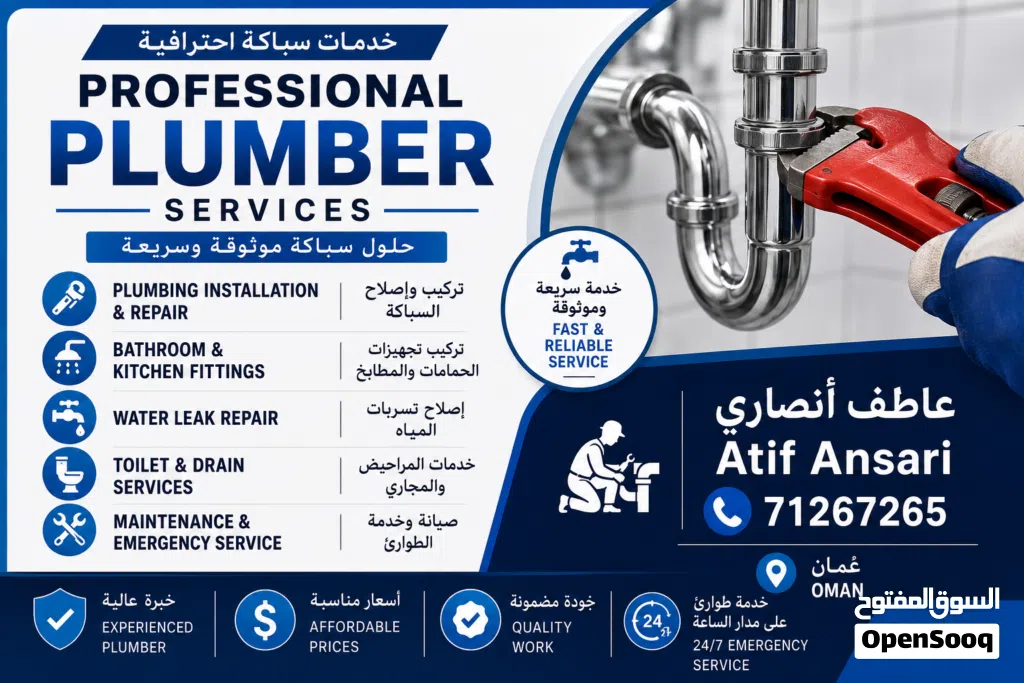 Professional Plumbing Services