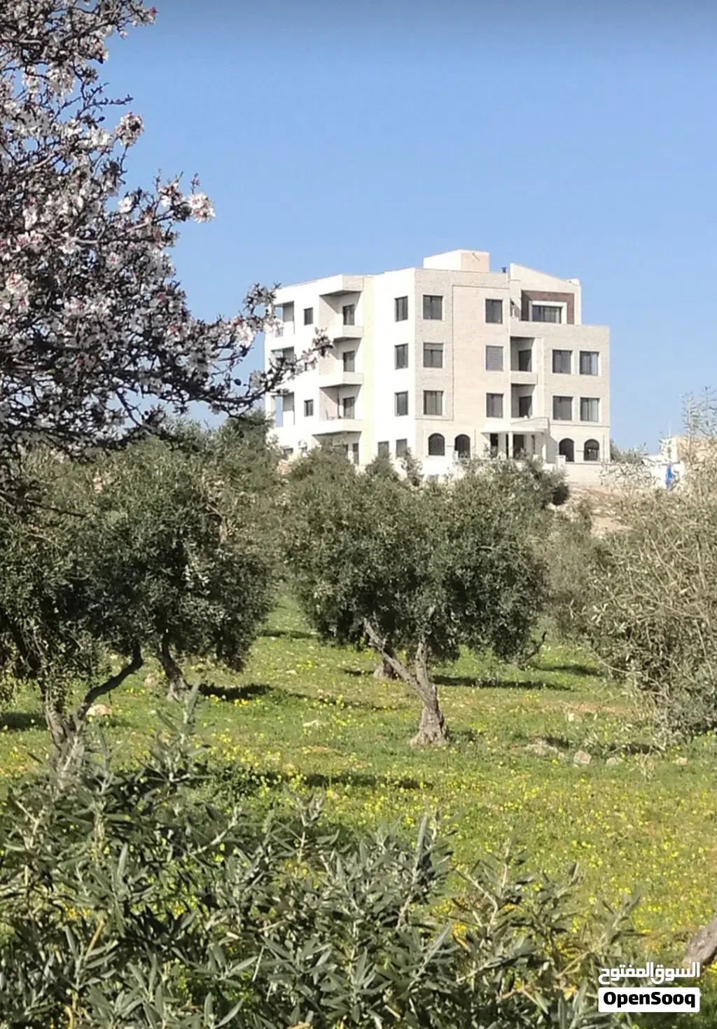 شقة فخمة غرفتين نوم للإيجار غير مفروشة في شفا بدران خلف اسواق الطيبات ونادي الفصول للعائلات فقط