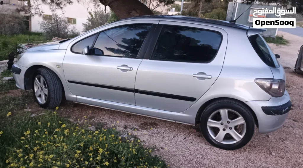 Peugeot 307 Standard