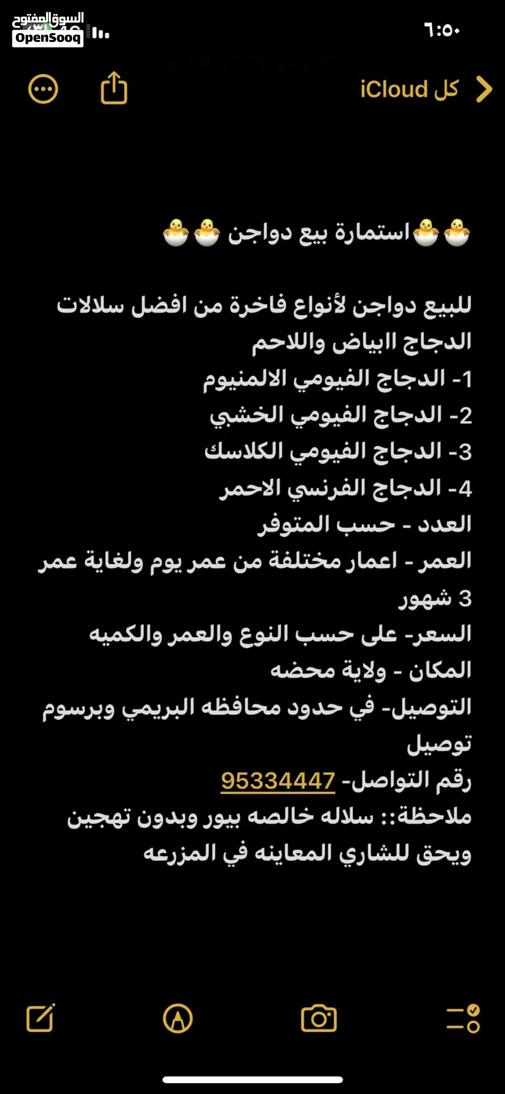 دجاج حي او مذبوح متوفر