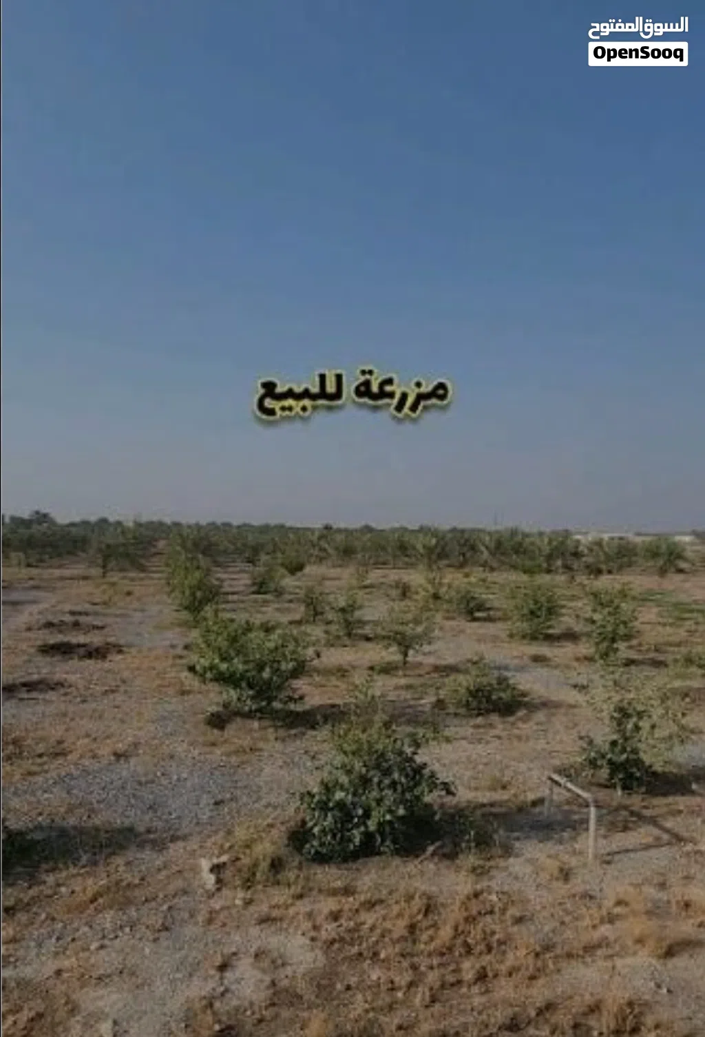 مزرعه للبيع في العراد