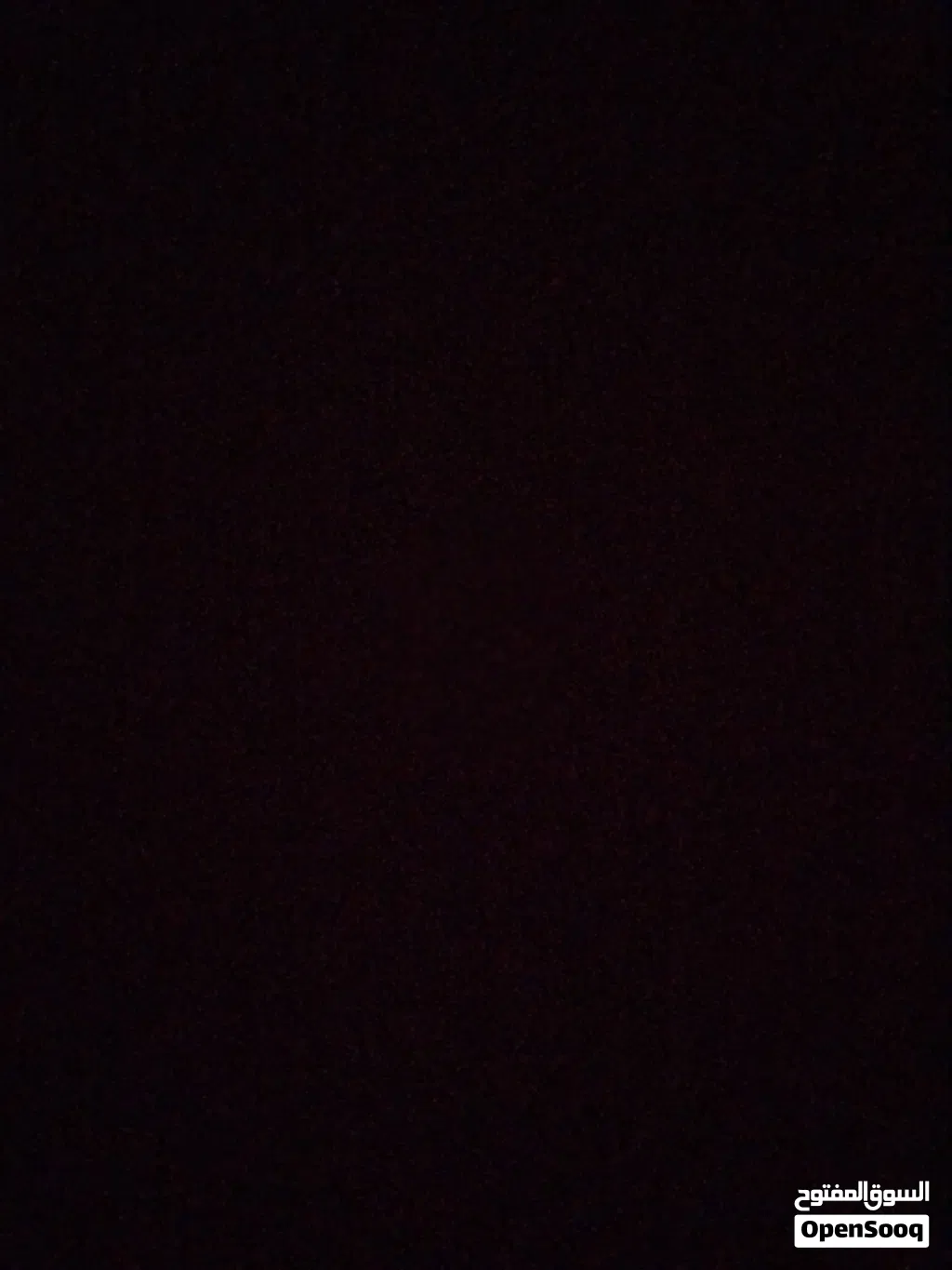 فرس عربيه مصريه بيور