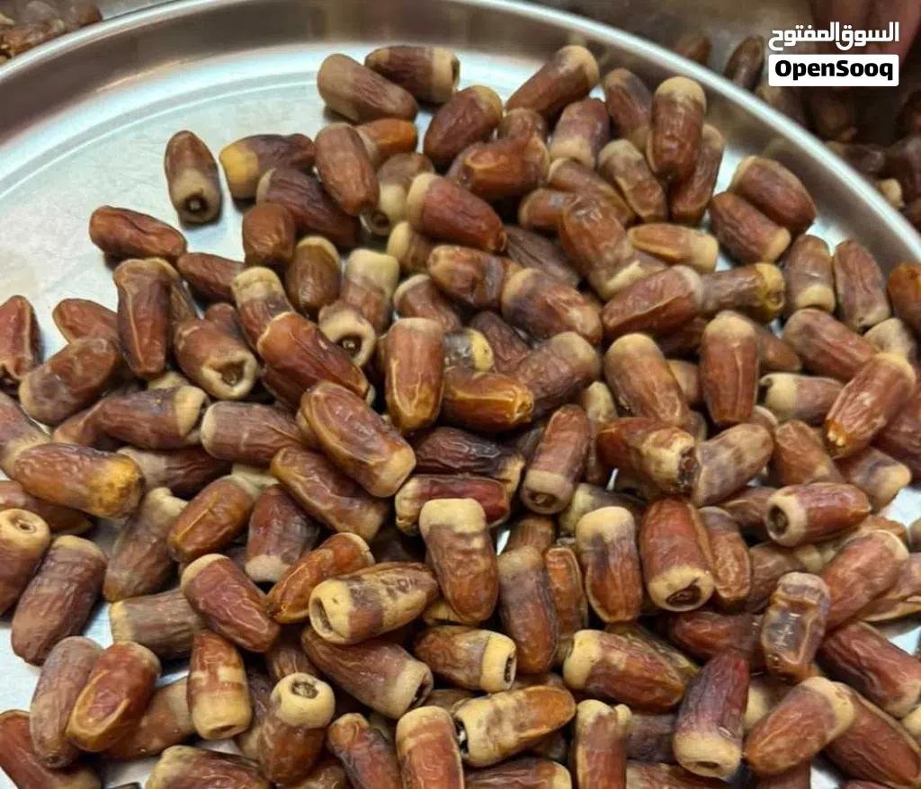 تمر نغال جريجرو محقب