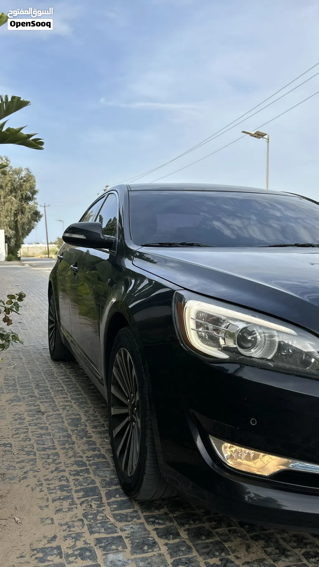 كيا كادينزا Limited