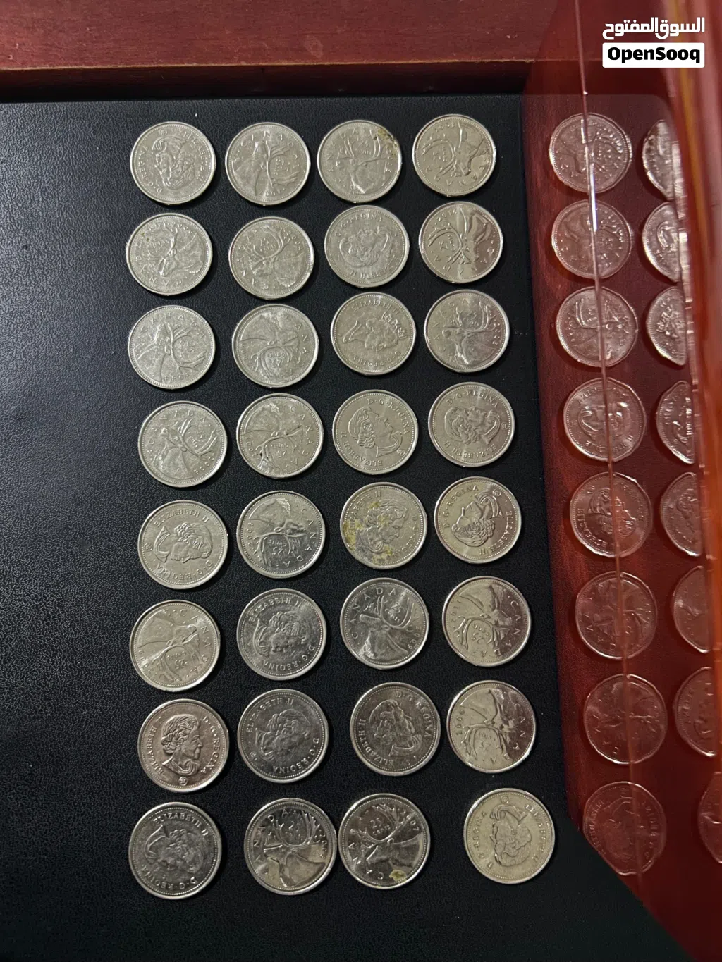 عدد 29 coins من فئة 25سنت cent كندي