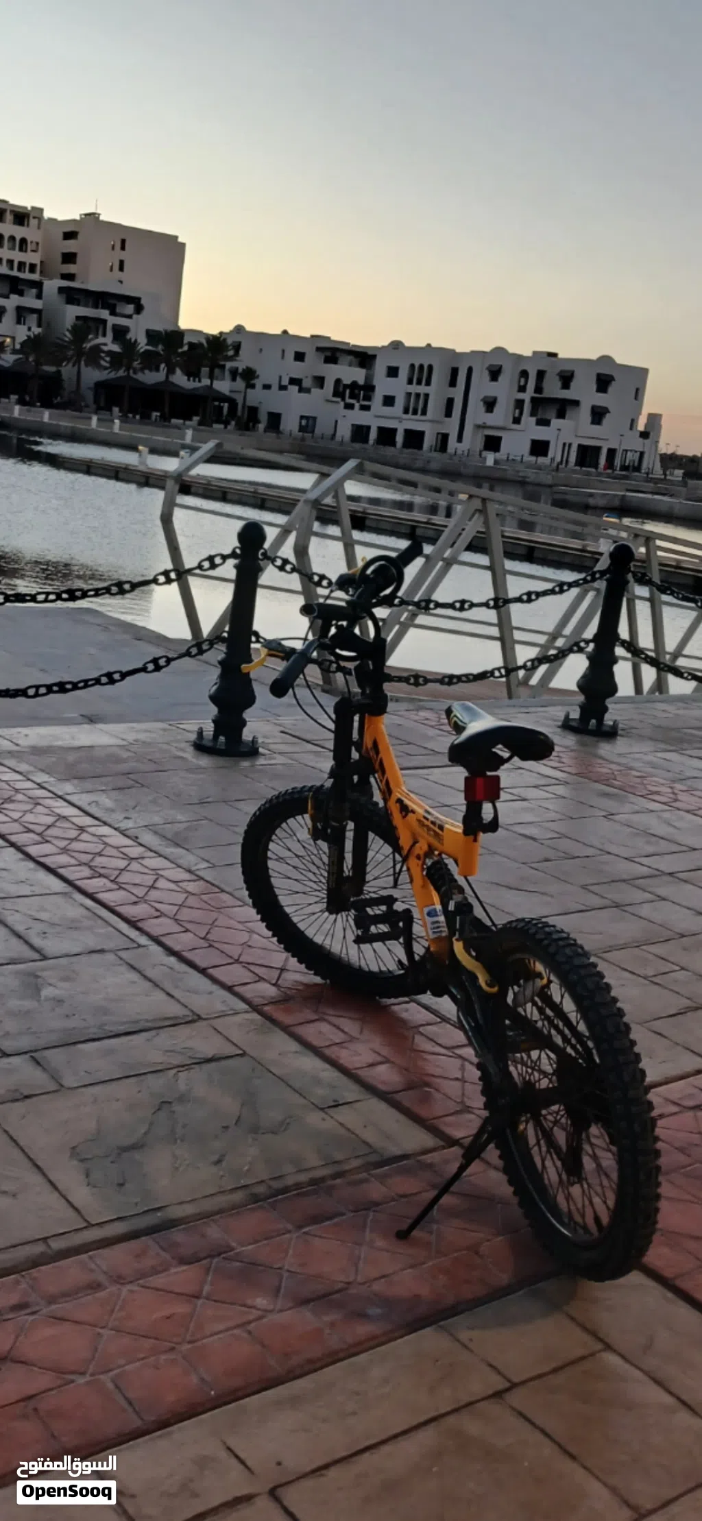دراجه هوائيه أََّصْلِيَّهْ الحجم 20