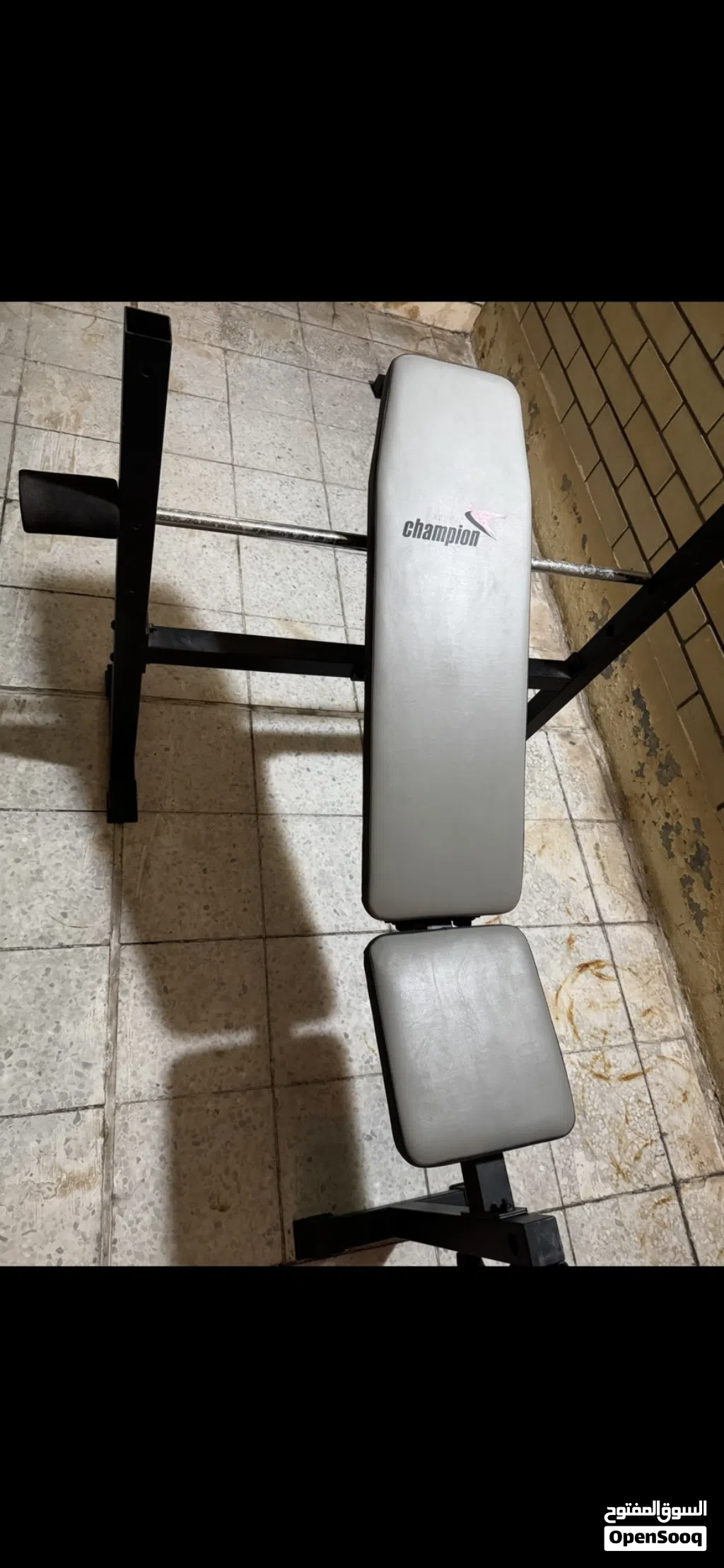 بنش صدر Bench Press Bench